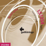 Струны для акустических гитар GALLI LS1254 12-54