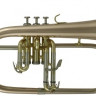 Флюгельгорн ROY BENSON FH-302G Bb золотистого цвета