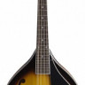 STAGG M40 S мандолина, Goldburst