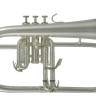 Флюгельгорн ROY BENSON FH-302S Bb серебристого цвета