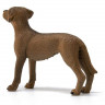 Фигурка Schleich Родезийский риджбек