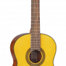 Takamine G-SERIES CLASSICAL GC1-NAT 4/4 классическая гитара