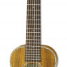 ARIA ATU-180/6 K гиталеле с чехлом
