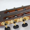 PRUDENCIO Intermediate Classical Model G-11 (4-M) гитара классическая