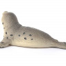 Фигурка Schleich Детеныш тюленя