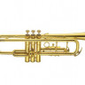 Труба сменный строй AMATI ATR 242I-O Bb/C