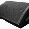 Сценический монитор DAS Audio SML-15 пассивный