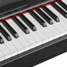 Цифровое фортепиано EMILY PIANO  D-47 BK