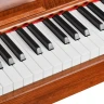 Цифровое фортепиано EMILY PIANO  D-47 BR