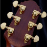 CRAFTER PG G-1000ce электроакустическая гитара с кейсом
