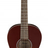 IBANEZ PN19-ONB акустическая гитара (Parlor)