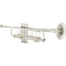 Труба Bach Custom 180S43 Bb Stradivarius