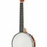 MARTIN ROMAS BW-2 S банджолеле концерт с чехлом