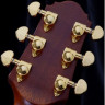 CRAFTER SH G-1000ce электроакустическая гитара с кейсом