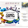 Алмазная мозаика с нанесенной рамкой 40х50 ЗИМНИЙ ВЕЧЕР  (26 цветов)