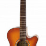 Aria TG-1 LVS акустическая гитара