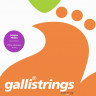 Струны для домры GALLI FG017