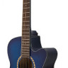 Aria TG-1 SBL акустическая гитара
