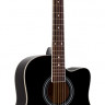 PHIL PRO AS-4104 BK акустическая гитара