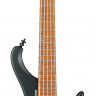 IBANEZ EHB1005-BKF 5-струнная бас-гитара