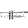Труба Bach 180S37R Bb Stradivarius
