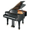 Samick NSG158D/EBHP - рояль 103x151x158