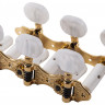 Колки SCHALLER Classical Guitars Hauser GO (APT.10330563.31.13)