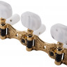 Колки SCHALLER Classical Guitars Hauser GO (APT.10330563.31.13)