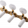 Колки SCHALLER Classical Guitars Hauser GO (APT.10330563.31.13)