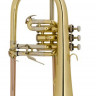 Флюгельгорн Bb Prelude by Bach FH-600 помповый + кейс и мундштук