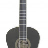 ARIA FIESTA FST-200 BK 1/2 классическая гитара