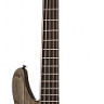 Schecter C-5 APOCALYPSE RUSTY GREY 5-струнная бас-гитара