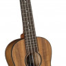 DIAMOND HEAD DU-350C Flamed Acacia укулеле концерт