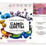 Алмазная мозаика с нанесенной рамкой 40х50 ФУДЗИЯМА (13 цветов)